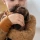 Small Foot Pluszowy Szczeniak Labradora z Transporterem i Zestawem Opieki Zestaw Małego Opiekuna dla Dzieci 24m+ Piesek z Akcesoriami do Karmienia, Pielęgnacji i Leczenia, Drewniane Elementy, Rozwija Empatię i Odpowiedzialność, Idealny Prezent dla 2-latka