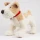 Egmont Toys maskotka przytulanka Piesek Eliot 30 cm