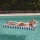 Luksusowy Dmuchany Materac Wodny SUNNYLiFE Luxe Lilo Marine Stripe z Zagłówkiem i Uchwytem na Napoje dla Młodzieży i Dorosłych 14+, Fotel Basenowy i Plażowy w Pasy z Tworzywa PVC Bez Ftalanów, Udźwig do 100 kg, Prezent na Lato i Wakacje.
