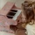 Drewniane Pianino Elektroniczne Little Dutch Różowe Safari Pierwszy Instrument Interaktywny dla Dzieci od 1 Roku Życia 1+, Mini Keyboard z 11 Kolorowymi Klawiszami z Drewna Ekologicznego, Wspiera Rozwój Słuchu i Kreatywności, Prezent dla Roczniaka