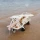 Pojemny Wózek Plażowy SUNNYLiFE Beach Cart Oyster | Składany Tragarz Turystyczny z Szerokimi Kołami Terenowymi, Stalowa Rama z Udźwigiem do 75 kg, Wytrzymała Tkanina Oxford 600D, Ułatwia Transport Ekwipunku i Akcesoriów na Plażę.