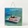 Dmuchana Platforma Wodna SUNNYLiFE Party Pad Marine Stripe | Wielki Materac i Tratwa Rodzinna na Basen lub Jezioro 260 x 196 cm, Wytrzymałe PVC z Uchwytami z Pianki i Pierścieniami do Cumowania, Luksusowa Strefa Relaksu na Wodzie.