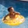 Dmuchane Koło z Siedziskiem dla Niemowląt Swim Essentials Circus Yellow | Fotelik Basenowy Kółko dla Dzieci 0–1 Lat (do 11 kg), Żółte w Cyrkowy Wzór z Wytrzymałego PVC, 4 Komory Powietrzne dla Bezpiecznego Oswajania z Wodą.