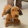 pol_pl_Edward-zabawka-do-ciagnie (2).webp