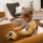 Top Bright tablica manipulacyjna z kostką zestaw edukacyjny Deluxe