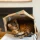 explore-kitmakedo-146389.webp