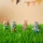 4-personnages-famille-lapin-klorofil (1).jpg
