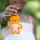 Fat Brain Toys - breloczek Lil Dimpl