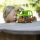 Klorofil - autobus zabawka Timber Tots Adventure Bus zabawka dla rocznego dziecka
