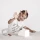 Kids Concept toster drewniany z akcesoriami