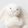 Jellycat przytulanka królik Bashful Cream Bunny 31 cm