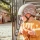 Scoot & Ride kask dla dzieci 1-5 lat XXS-S Lifestyle Brown Lines