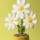 Jellycat kwiatek stokrotka Amuseables Daisy