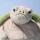 Jellycat maskotka żółw Timmy Turtle 28 cm