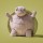 Jellycat maskotka żółw Timmy Turtle 28 cm