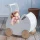 Tender Leaf Toys - wózek dla lalek Łabędź Sweet Swan Pram