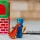 Magna Tiles klocki magnetyczne do zabawy w budowanie zestaw Builder XL 50 elementów