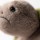 Jellycat maskotka żółw Timmy Turtle 28 cm