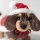 Jellycat Piesek Jamnik Otto Winter Warmer Otto Sausage Dog