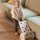 MODU Dreamer Set Sand Grey / Honey Yellow 34 el. – Największy Zestaw Klocków Konstrukcyjnych dla Dzieci 0-6 lat | Wielofunkcyjny Jeździk, Bujak i Domowy Plac Zabaw, Wyjątkowy Prezent na Roczek i Prezent dla Dziecka Wspierający Rozwój Motoryki.