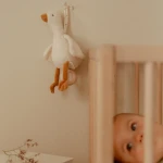 Pozytywka dla Niemowląt Pluszowa Gąska Little Dutch Newborn Naturals 0+