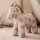 Kids Concept zabawka przytulanka konik Dotty