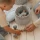 Little Dutch klocki drewniane dla 2 latka Forest Friends 50 sztuk