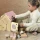 Egmont Toys drewniany domek z rodzinką misiów