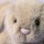 Króliczek Jellycat Oat Flufflet Bunny 18 cm | Puszysta Przytulanka dla Dziecka 12m+, Idealna do Przedszkola i w Podróż, Wyjątkowo Miękki Królik do Małej Rączki, Wspiera Rozwój Sensoryczny i Wyciszenie, Bezpieczny Prezent na Roczek (1. Urodziny).