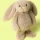 Króliczek Jellycat Oat Flufflet Bunny 18 cm | Puszysta Przytulanka dla Dziecka 12m+, Idealna do Przedszkola i w Podróż, Wyjątkowo Miękki Królik do Małej Rączki, Wspiera Rozwój Sensoryczny i Wyciszenie, Bezpieczny Prezent na Roczek (1. Urodziny).