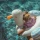 Dziecięce Koło do Pływania Rozcięte SUNNYLiFE Sammy the Seagull | Otwarte Koło Basenowe Mewa dla Dzieci 0,25 kg, Dmuchana Zabawka Kąpielowa PVC bez Ftalanów, Wspiera Oswajanie z Wodą i Samodzielność, Prezent na Wakacje.