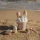 0033894_summer-2026-swim-beach-collection-96-shopify-square.webp