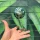 Green_Metallic_Moon_Ball_1800x1800.webp